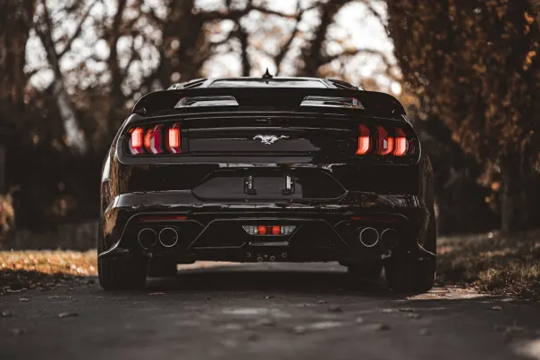 Casino Posh Bingo Android/iOS-app